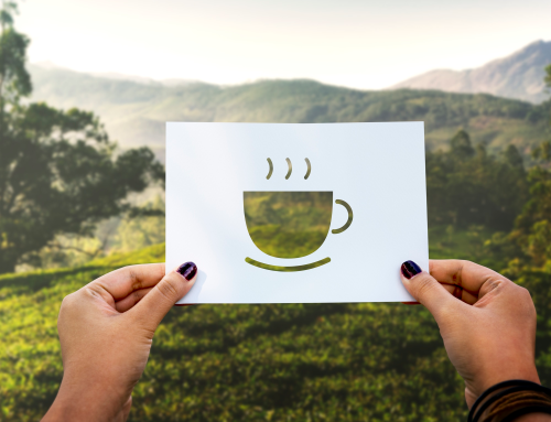 Chá e Sustentabilidade: Como Escolher Infusões de Marcas Comprometidas com o Meio Ambiente